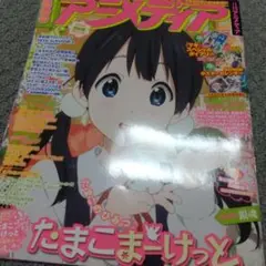 ダイアリーなし