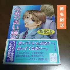 ★限定SALE★北川とも『心地の良い場所』BL小説