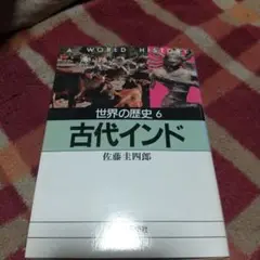 世界の歴史6 古代インド