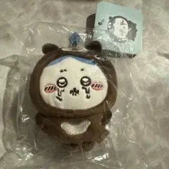 ナガノマーケット マレーグマを被ったマスコット（ハチワレ）