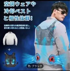 Item thumbnail for item 35e5544c-20c5-43b4-adb5-dae896f34ca8