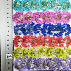 スーパーアリッサム　染め 　No64　押し花 押し花素材 @¥850