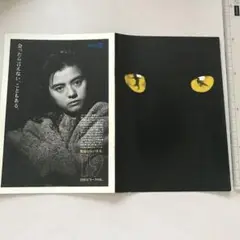 【CATS】パンフレット
