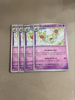 ランクルス　４枚