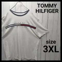 【TOMMY HILFIGER】 Ringerneck Tee　E582