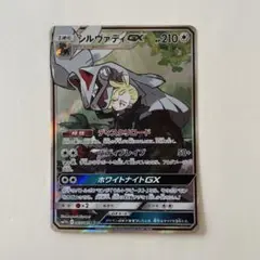 シルヴァディGX sr