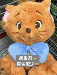コストコ　トゥルーズ　ぬいぐるみ　超ビック　ブランケット　おしゃれキャット