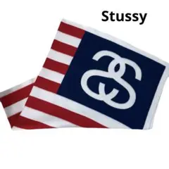 希少★Stussy フリース　ブランケット ステューシー 150cm 大判