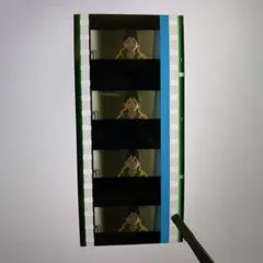 ヴァイオレットエヴァーガーデン　フィルム　ユリス