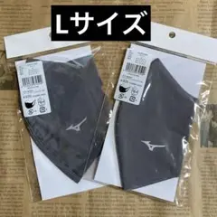 MIZUNO マスク　 Lサイズ×2 グレー