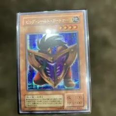 ビッグ・シールド・ガードナー G5-02シークレット