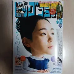 ビッグコミック　2025年9月10日号（No.17）最新号　小学館