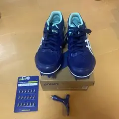 Item thumbnail for item 8a969768-e725-4c42-b8f3-5dee77280100