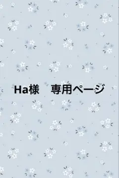 Ha様　専用ページ