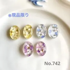 No.742 押花入り　オーバル型　レジンカボション　6個