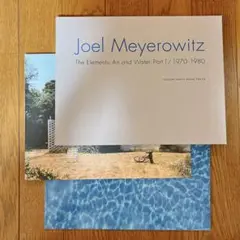 2025年最新】joel meyerowitzの人気アイテム - メルカリ