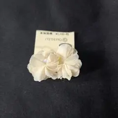 Item thumbnail for item 1b21cfd6-dff9-42f0-a171-08de920c1cb0