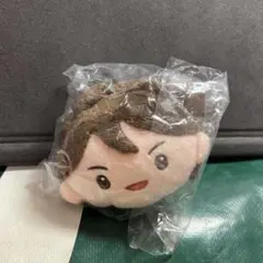 ハイキュー‼︎ リバーシブルぬいぐるみ 及川徹