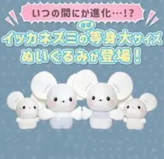 ポケモンセンター　 いつの間にか進化！？ イッカネズミ 画像ギャラリー No.011 | 「ポケモンぬいぐるみ いつの間にか