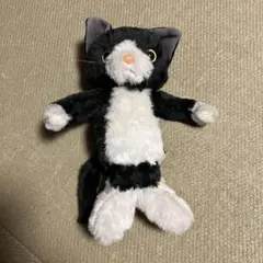 泣きにゃんこ