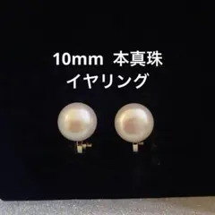 一粒 淡水パール イヤリング 10mm シンプル 本真珠