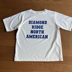 INGNI Tシャツ白半袖サイズM美品