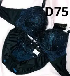 D75 シャイニーダークブルームブラジャー&フルバックショーツ