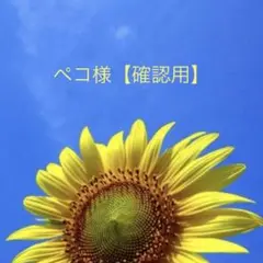 ペコ様【確認用】