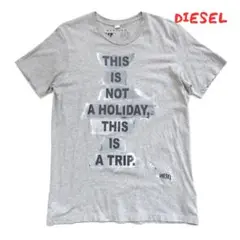 【DIESEL】ディーゼル　半袖　プリント　Tシャツ　0291