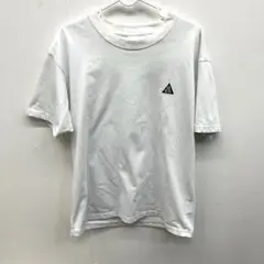 NIKE ナイキ ACG NRG LBR S/S Tシャツ ホワイト 白