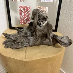 流木 インテリア　装飾 DIY素材