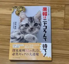 果報はニャコろんで待て！