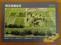 越谷田んぼアート2025カード　シティハンター