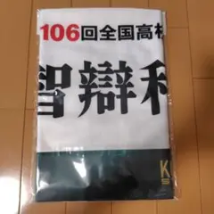106回全国高等学校野球選手権大会 タオル