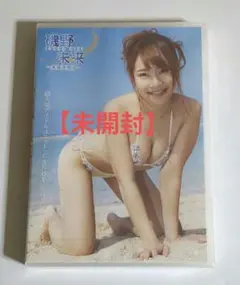磯野未来/未来予想図