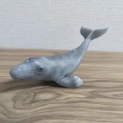 2025年最新】シュライヒ クジラの人気アイテム - メルカリ