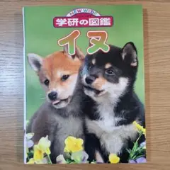 Item thumbnail for item e43e2dbe-e2e8-40c6-9a2a-e46af60b4768