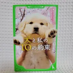 犬と私の10の約束