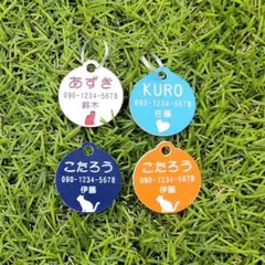 Item thumbnail for item 039c48a8-8245-4175-9447-3dde7171968f