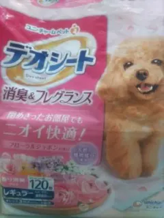 Item thumbnail for item 3e47dcca-7070-466e-b0fd-2c185168d263