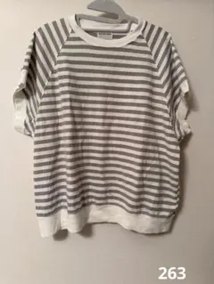 美品　ブルーレイクマーケット　ボーダーＴシャツ