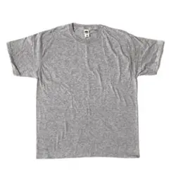新品 【 フルーツオブザルーム 】 Tシャツ 海外Lサイズ メンズ グレー