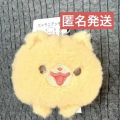 ポメラニアンもち　まんまる　マスコットキーチェーン　きなこ