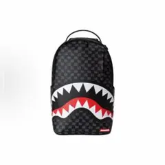 sprayground