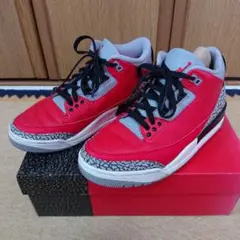 AIR JORDAN 3 RETRO SE 25.5cm