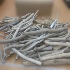 Item thumbnail for item 79c3f4bf-4835-4922-874f-3ba4562e4bcc