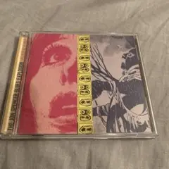 Jon Spencer Blues Explosion 国内盤cd
