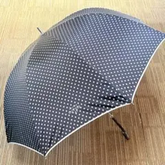 Item thumbnail for item a9e49e2c-70fd-4817-9363-5fa808f340b2
