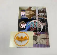 Item thumbnail for item bd46be4c-8558-47e5-bc05-abb1e3fb61ca
