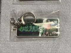 東京ヤクルトスワローズ 小澤怜史 メタルキーホルダー